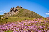 Frankreich, Alpes-Maritimes, Nationalpark Mercantour, Wanderseen Vens am Fer-Pass, die Nadeln von Tortisse (2672m)