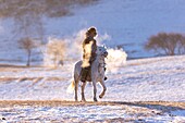 China, Innere Mongolei, Provinz Hebei, Zhangjiakou, Bashang-Grasland, ein mongolischer Reiter auf einem Pferd läuft auf einer schneebedeckten Wiese