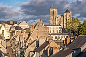 France, Cher, Bourges, St Etienne cathedral, listed as World Heritage by UNESCO