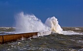 France, Morbihan, Ploemeur, Port de Lomener, wave on the dike during a storm