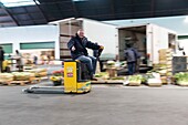 France, Indre et Loire, Tours, wholemarket, man on a pallet truck