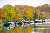 Frankreich, Val de Marne, Joinville le Pont, Hausboote auf der Marne im Herbst