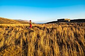 Greece, Cyclades archipelago, Andros island, hike number 7 to Zagora archaeological site