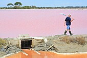 Frankreich, Gard, Petite Camargue, Aigues-Mortes, Marais de Peccais, Salins d'Aigues-Mortes (Salins du Midi), saunier dans un marais salant