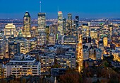 Canada, Province of Quebec, Montreal, Mount Royal, the city center and its skyscrapers, the giant mural illuminated with the effigy of singer Leonard Cohen