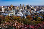 Canada, Province of Quebec, Montreal, Mount Royal, the city center and its skyscrapers, the giant mural illuminated with the effigy of singer Leonard Cohen