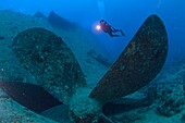 Ägypten, Rotes Meer, das Wrack der Thistlegorm