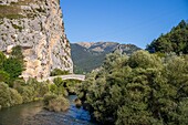 Frankreich, Alpes-de-Haute-Provence, Regionaler Naturpark Verdon, Castellane, die Roc-Brücke über den Fluss Verdon