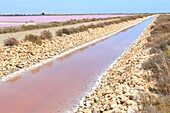 Frankreich, Gard, Petite Camargue, Aigues-Mortes, Marais de Peccais, Salins d'Aigues-Mortes (Salins du Midi), Salzsümpfe