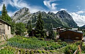 France, Savoi, Mountain of Vanoise, Pralognan la Vanoise, vegetable garden in the middle of the old village and the peaks of Grand Marchet (2651m) and the rock of Valletta