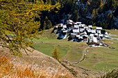 Switzerland, Valais, Zermatt valley, hiking towards the hamlet of Zmutt