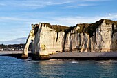 Frankreich, Seine Maritime, Pays de Caux, Cote d'Albatre (Alabasterküste), Etretat, die Aval-Klippe, der Bogen und die Aiguille (Nadel) (Luftaufnahme)