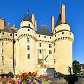 France, Indre et Loire, Loire Valley listed as World Heritage by UNESCO, Langeais, Langeais castle