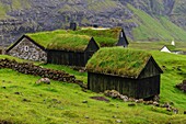 Denmark, Faroe Islands, Streymoy Island, Saksun, traditional houses