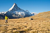 Schweiz, Wallis, Zermatter Tal, Wanderung auf den Hohbalmen