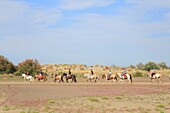 Frankreich, Gard, Petite Camargue, Le Grau-du-Roi, Plage de l'Espiguette, Reiten in den Dünen