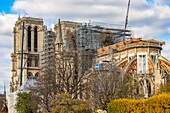 France, Paris, area listed as World Heritage by UNESCO, the banks of Seine river the Ile de la Cite, the Notre Dame Cathedral in autumn