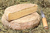 France, Oise, Gremevillers, GAEC de la Chapelle Saint-Jean, tommes au hay made with picard raw milk