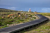 Südafrika, Westkap, Leuchtturm an der felsigen Küste von Kap Aghulas, wo der Indische Ozean auf den Atlantik trifft