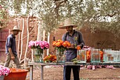 Marokko, Marrakesch, Beldi Country Club, Geschichte: Märchenhafter Rosengarten