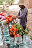 Marokko, Marrakesch, Beldi Country Club, Geschichte: Märchenhafter Rosengarten