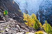 Schweiz, Wallis, Zermatter Tal, Wanderung zwischen Randa und Zermatt auf dem Europaweg mit der längsten Fußgänger-Hängebrücke der Welt (500 Meter)