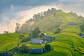 Vietnam, Ha Giang province, Hoang Su Phi, village of the La Chi ethnic group in the rice terraces