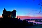 France, Maine et loire, Loire Valley listed as World Heritage by UNESCO, Saumur, Chateau de Saumur on Loire River banks