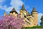 France, Dordogne, Perigord Noir, Dordogne Valley, Marquay, Chateau de Puymartin, rebuilt after the Hundred Years' War