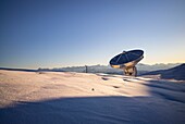 France, Hautes Alpes, Le Devoluy, Devoluy mountain range, plateau de Bure (2550m), interferometer