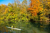 Frankreich, Val de Marne, Nogent sur Marne, Kajakfahrer am Ufer der Marne im Herbst