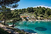 Croatia, County of Primorje-Gorski Kotar, Kvarner bay, Losinj island, near the village of Veli, the cove of the dog beach on the Adriatic Sea