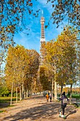 France, Paris, area listed as World Heritage by UNESCO, the Champ de Mars in autumn and the Eiffel Tower