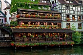 France, Bas Rhin, Strasbourg, old town listed as World Heritage by UNESCO, the Petite France District with the Au Pont Saint Martin restaurant