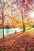 France, Paris, the Bois de Boulogne in autumn, lower lake