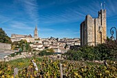 Frankreich, Gironde, Saint Emilion, Blick auf die Stadt, den Weinberg, den Glockenturm und den Tour du Roy vom Aussichtspunkt in der rue du Couvent