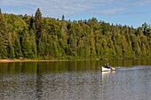 Kanada, Provinz Quebec, Region Mauricie, Shawinigan City, La Mauricie National Park, Erholungsgebiet Shewenegan in der Nähe des Wapizagonke Lake, Kanufahrt