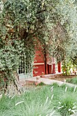 Morocco, Marrakesh, Beldi Country Club, Story: The stunning charm of the Beldi greenhouses