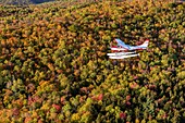 Kanada, Provinz Quebec, Region Mauricie, Flug mit der Firma Hydravion Aventure im Altweibersommer, Cessna 206 über dem borealen Wald (Luftaufnahme)