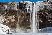 Island, Sudurland, Seljalandsfoss Wasserfall, Regenbogen