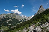 France, Savoie, Mountain of Vanoise, Pralognan la Vanoise, group of hikers on the hiking trail in balcony above the village towards the rock of the Monkeys and the sharp profile of the western tip of the Grand Marchet