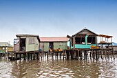 Benin, lakeside city of Ganvié, gasoline shop