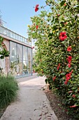 Morocco, Marrakesh, Beldi Country Club, Story: The stunning charm of the Beldi greenhouses