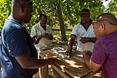 Seychelles, Mahe Island, domino players on the port