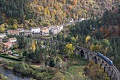 Frankreich, Lozere, Haute Loire, Nouveau Monde und Chapeauroux, Zug bei der Ankunft im Bahnhof von Chapreauroux, Tal der Allier