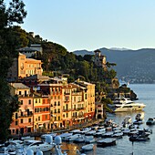 Italien, Ligurien, Riviera ligure, Naturpark von Portofino, Dorf Portofino