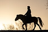 China, Inner Mongolia, Hebei Province, Zhangjiakou, Bashang Grassland, one Mongolian horseman on a horse running in a meadow covered by snow