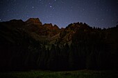 France, Haute Savoie, valley of Abondance, La Chapelle d'Abondance, hunting reserve of the Mont de Grange