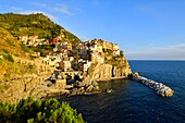 Italien, Ligurien, Provinz La Spezia, Nationalpark Cinque Terre, von der UNESCO zum Weltkulturerbe erklärt, das Dorf Manarola