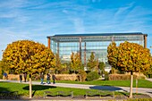 France, Paris, the Parc d'Andre Citroën in autumn, the greenhouse of the Mediterranean climate of the southern zones